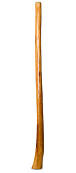 Gloss Finish Didgeridoo (TW824)